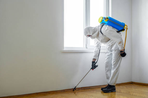 Best Pest Exclusion Services  in Corydon, IN